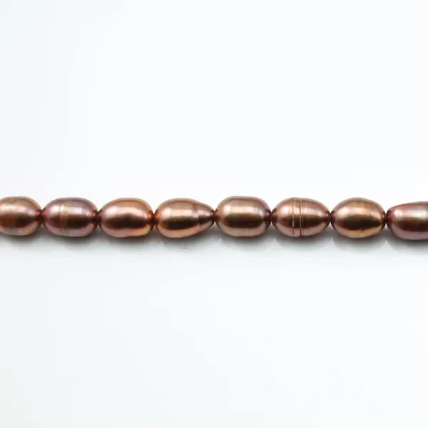 Perles de culture d'eau douce, marron, olive, 5-5.5mm x 10pcs