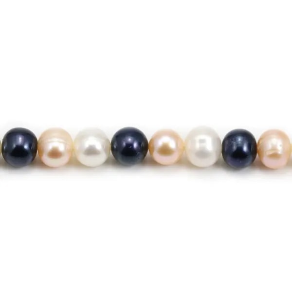 Perles de culture d'eau douce, multicolore, semi-ronde 7-8mm x 40cm
