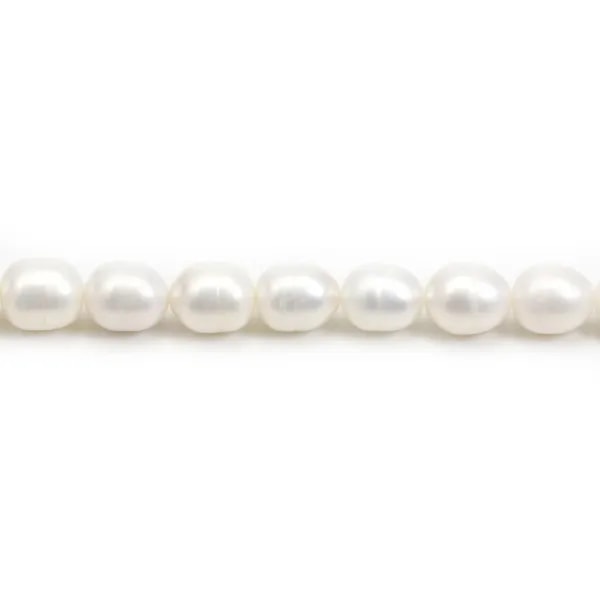 Perles d'eau Douce Blanc ovale 10-11mm x 40cm