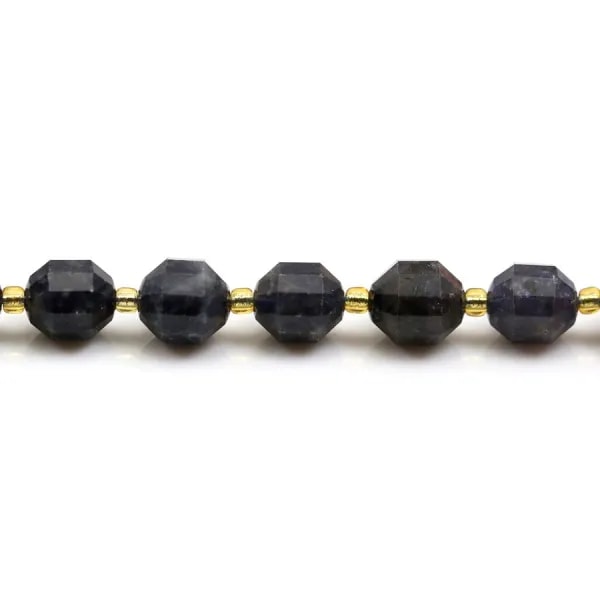 Cordiérite (Iolite),en forme d'octogonal facette sur fil 10mm x 40cm