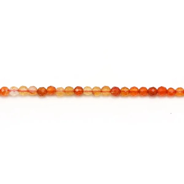 Cornaline ronde plate sur fil 8mm x 40cm