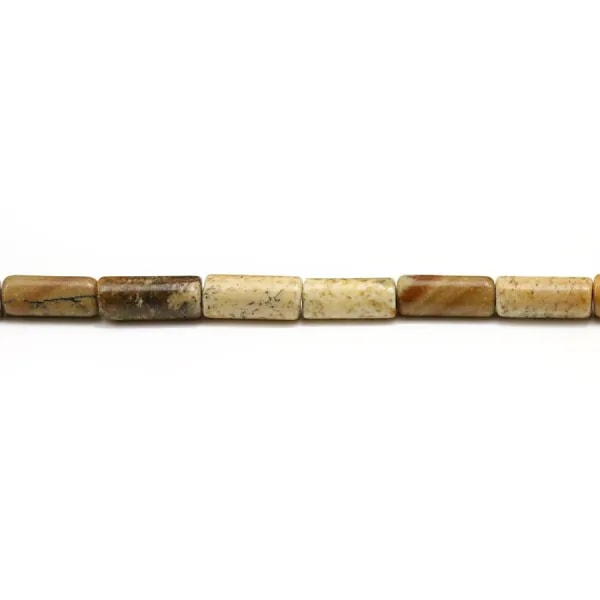 Jaspe paysage tube 4x8mm x 10pcs