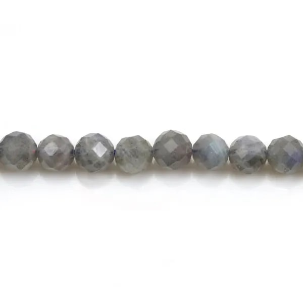 Labradorite Ronde Facette 6mm x 10pcs