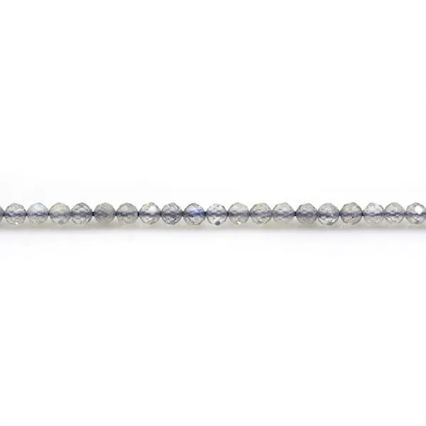 Labradorite grise, de forme ronde facetté, 2.5mm x 40cm
