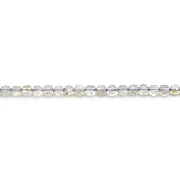 Labradorite Faceted Flat Round 12mm x 40cm