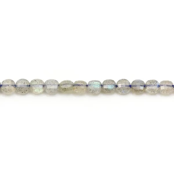 Labradorite Ronde Plate Facette 14mm x 40cm