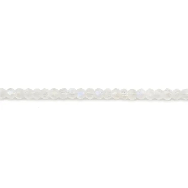 Moonstone in the shape of a faceted roundel, in size of 2-3mm x 39cm