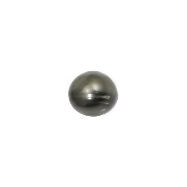 Tahitian cultured pearl, fully drilled, semi-round/button, 12-13mm x 1pc