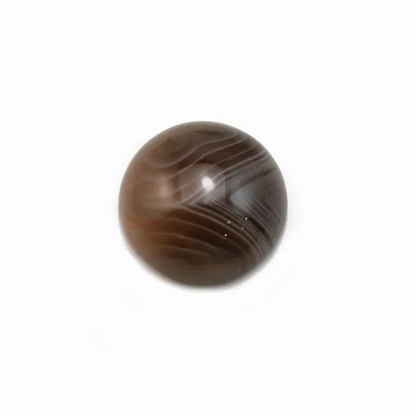 Cabochon agate du boswana, de forme ronde, 12mm x 2pcs