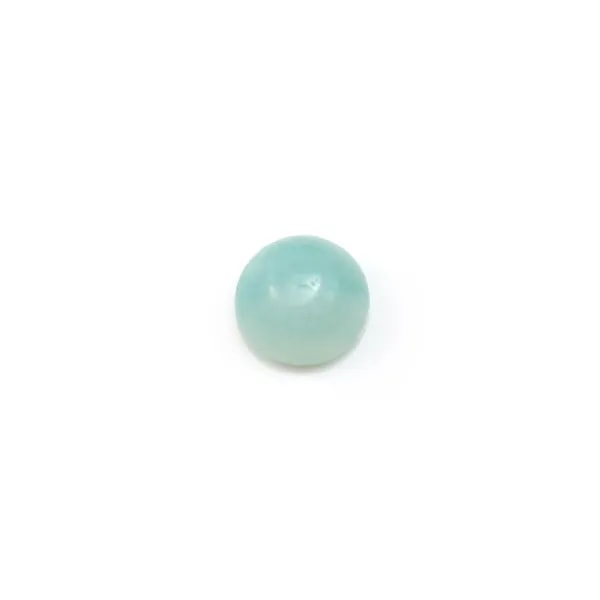 Cabochon amazonite rond 6mm x 6pcs