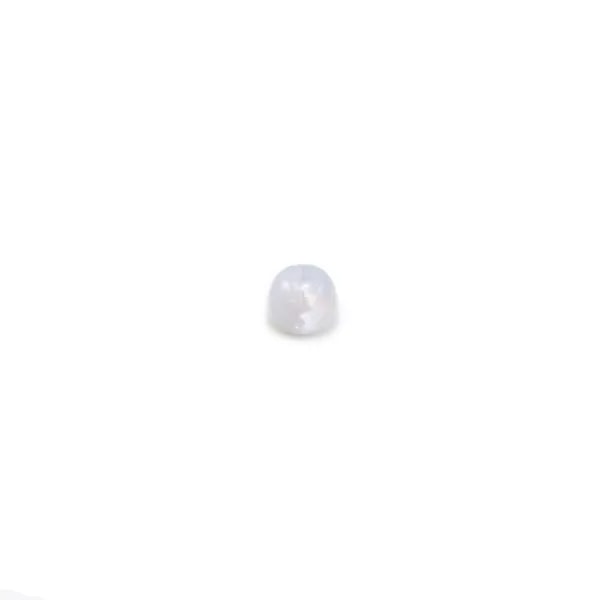 Cabochon de calcédoine bleu, de forme ronde, 3mm x 4pcs
