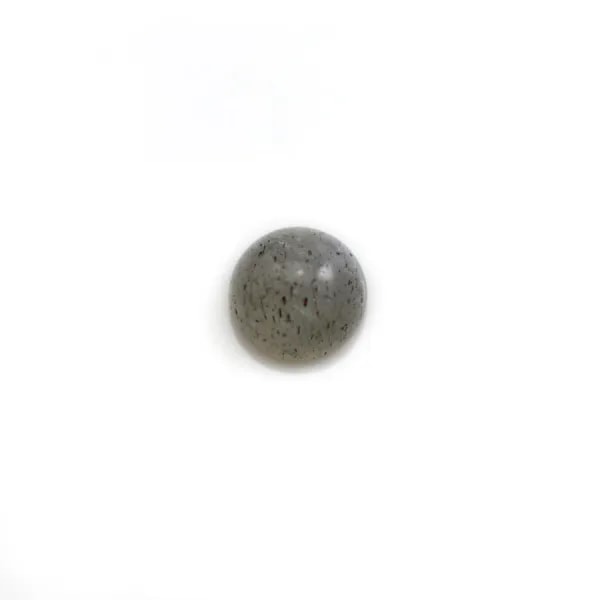 Cabochon labradorite rond 6mm x 1pc
