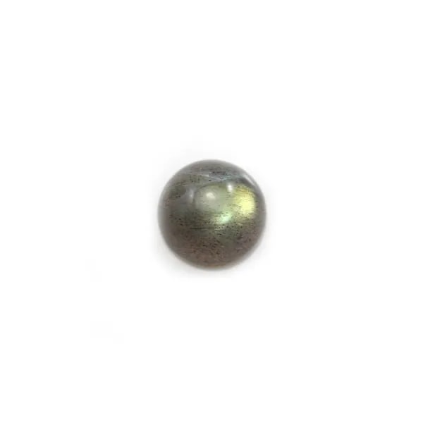 Cabochon de labradorite, de forme ronde 7mm x 2pcs