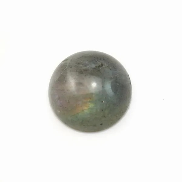 Cabochon labradorite rond 14mm x 2pcs
