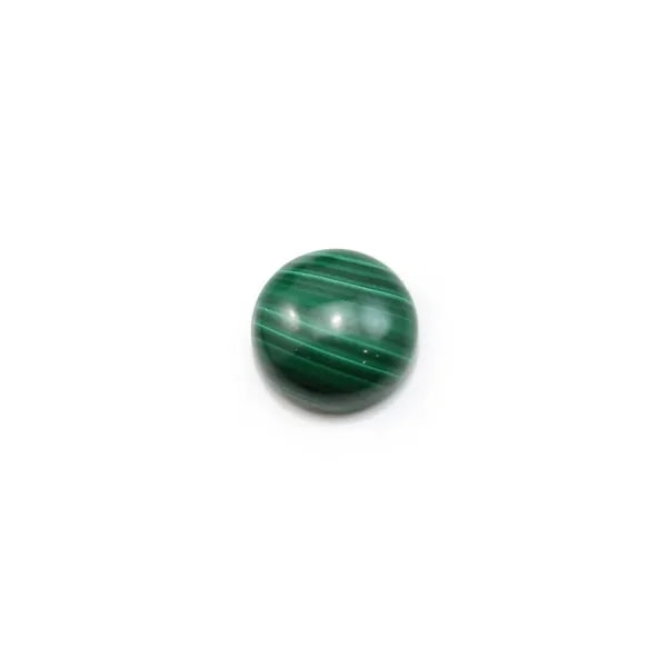 Cabochon malachite round 6mm x 1pc