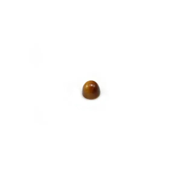 Cabochon d'oeil de tigre, de forme ronde, 2mm x 4pcs