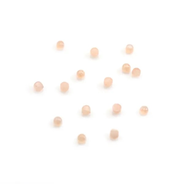 Cabochão de Pedra da lua laranja, de forma redonda, 2mm x 2pcs
