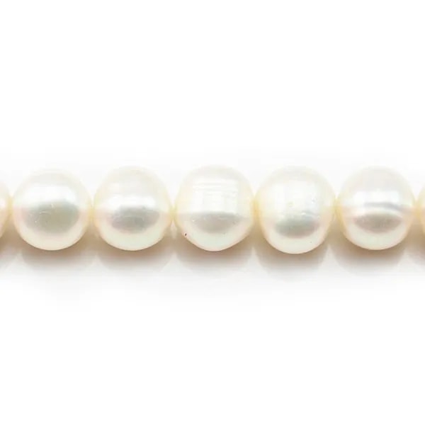 Perles d'eau Douce Blanc 10-12mm x 2pcs