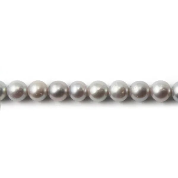 Perle de culture d'eau douce, grise, ovale, 5.5-6.5mm x 38cm