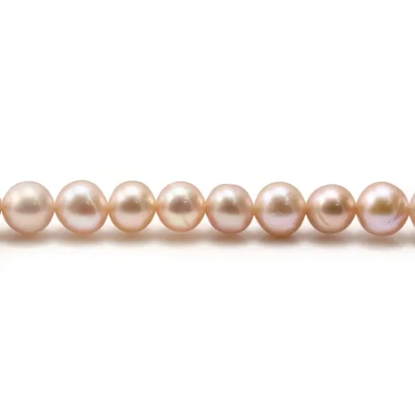 Perles d'eau douce mauve rondes  6mm x 6pcs
