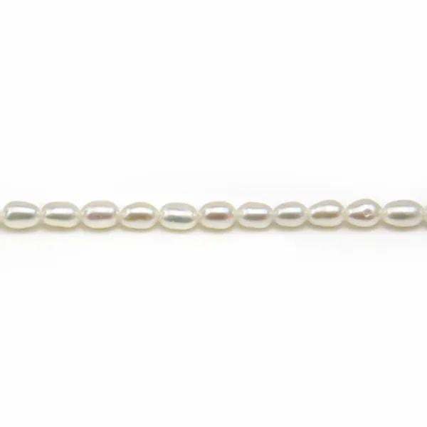Perles de culture d'eau douce, blanche, olive, 2.5x4mm x 10pcs