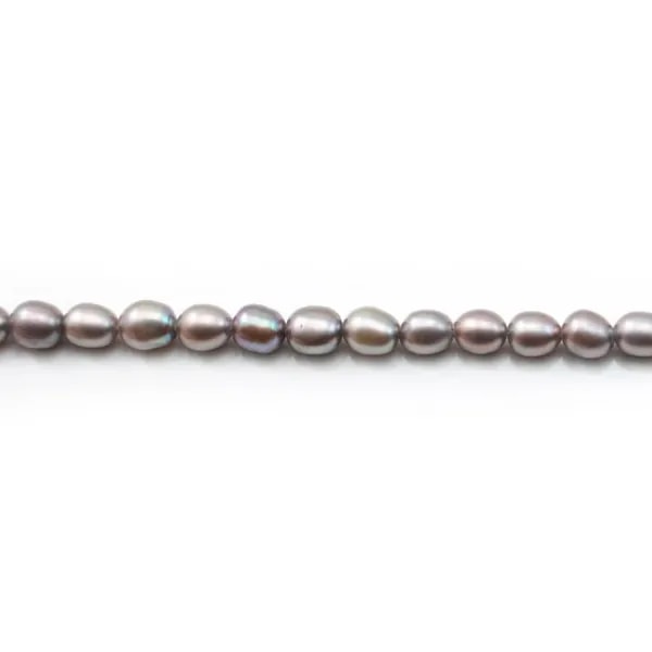 Perle de culture d'eau douce grise, olive, 4.5-5mm x 38cm