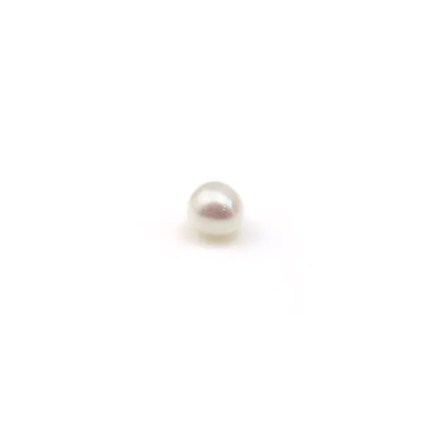 Perle d'eau douce rond sans perçage 1.5-1.8mm x 2pcs