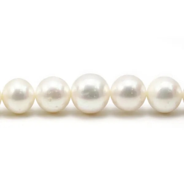 Perle d'eau douce blanche, de forme ronde, et de taille 13-15mm x 40cm