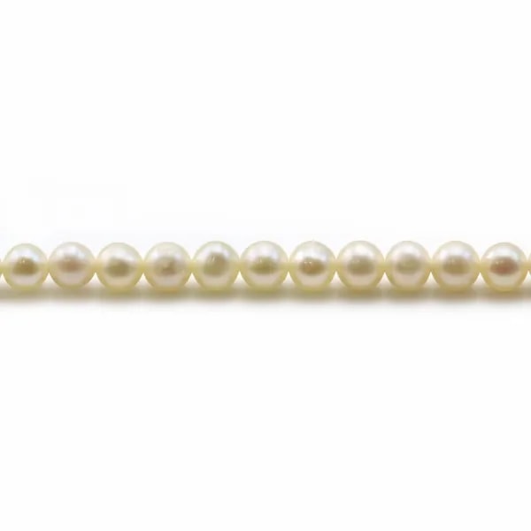 White  freshwater pearls 4mm x 40cm