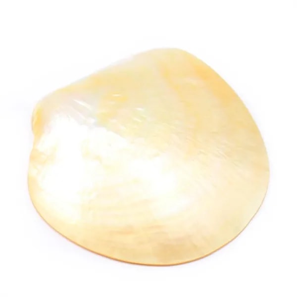 Nacre jaune