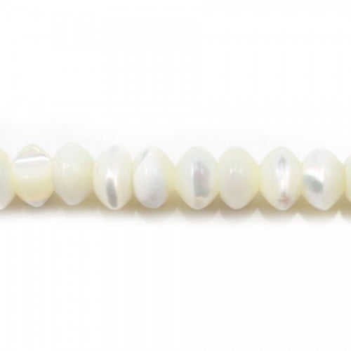 Nacre blanche rondelle 4x6mm x 40mm