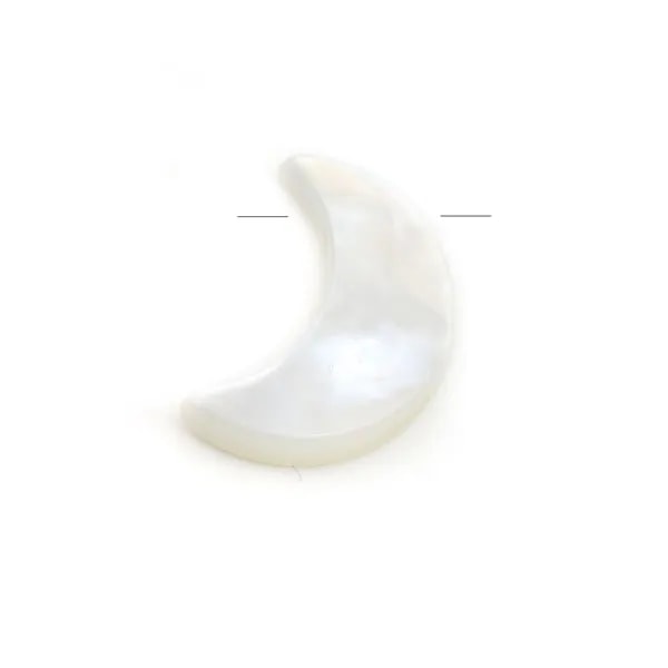 Natural shell ''Flower'' in a bag 15mm x 1pc