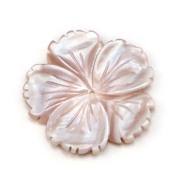 Natural shell ''Flower'' in a bag 15mm x 1pc