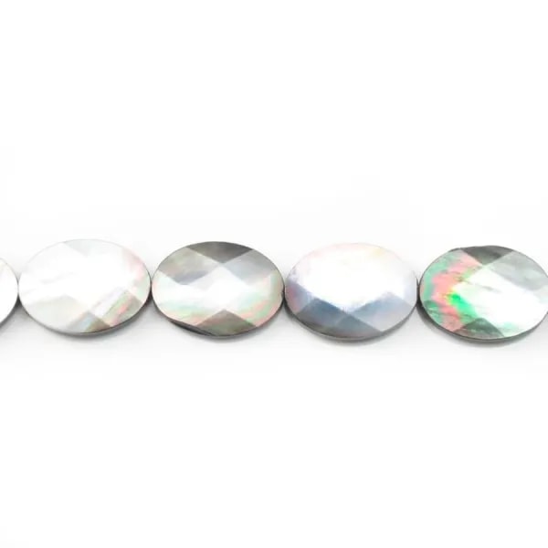 Nacre Grise en Forme d'Ovale Facette 6x10mm x 40cm 