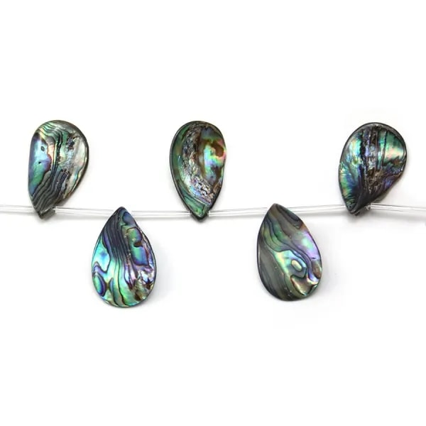 Nacre abalone en forme divers 34-31x19-20mm x 25cm