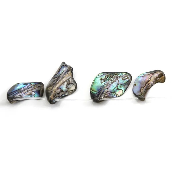 Nacre abalone de forme et de tailles diverses x 39cm