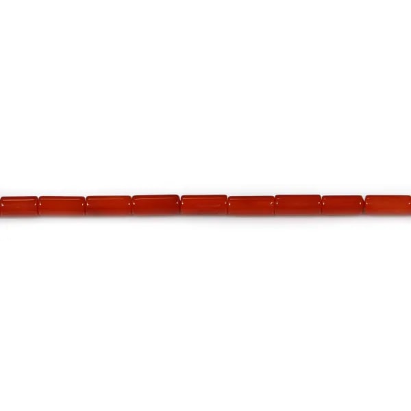 Bambou de mer teinte rouge tube 3x7mm x40 cm