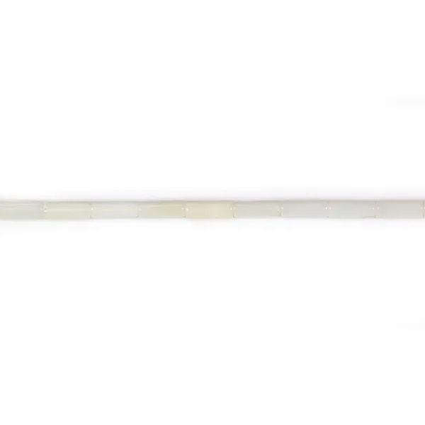 Bambou de mer blanc tube 2x4mm x 40cm