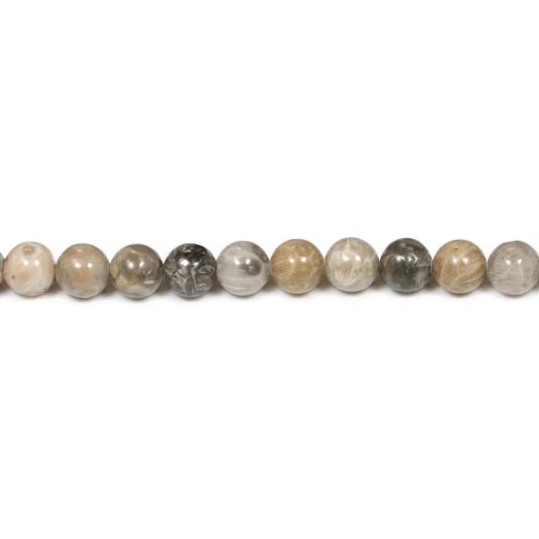 Fossil coral ball 6mm x 10pcs