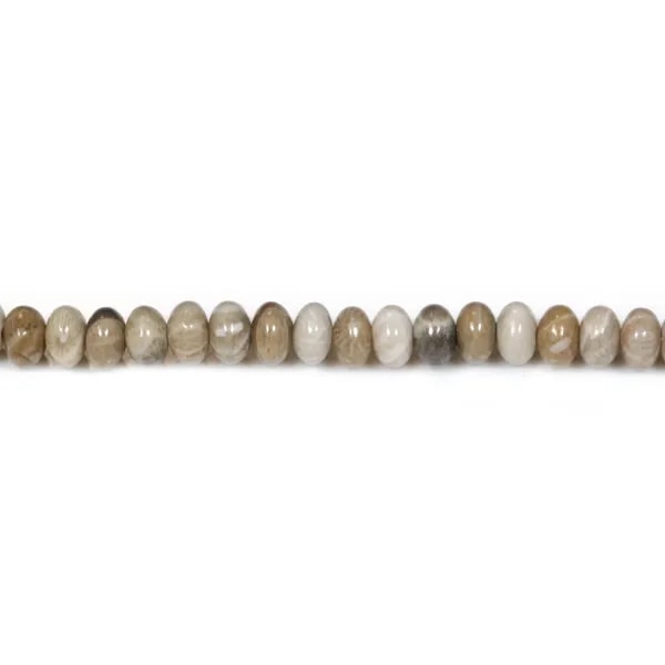 Corail fossilisé rondelle 4x6mm x 20pcs