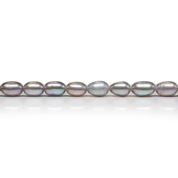 Perle de culture d'eau douce grise, ovale, 6-6.5mm x 39cm