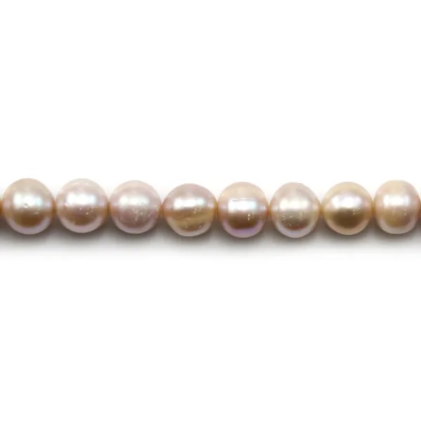 Perles de culture d'eau douce, mauve, semi-ronde, 11-12mm x 40 cm