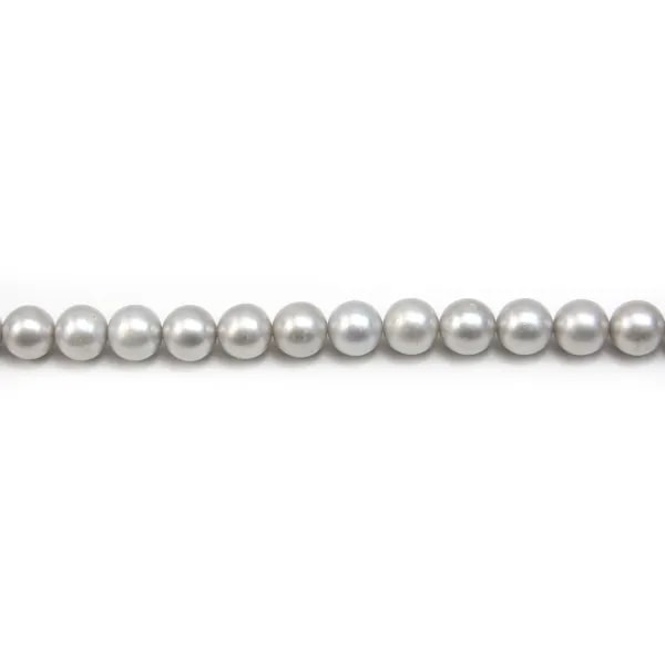 Perles d'eau douce rondes grises 10mm x 1pc