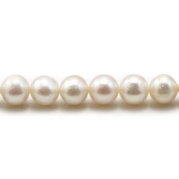 Perles d'eau Douce Blanc rond  8-9mm  AAA x 40cm