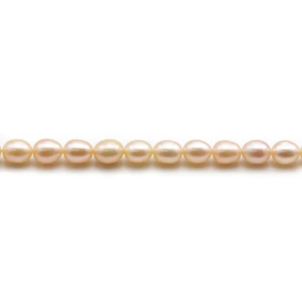 Perles d'eau douce ovale couleur saumon sur fil 5-6mm x 40cm