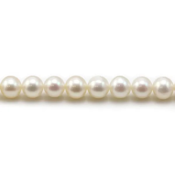 White round freshwater pearls on thread 6mm x 40cm