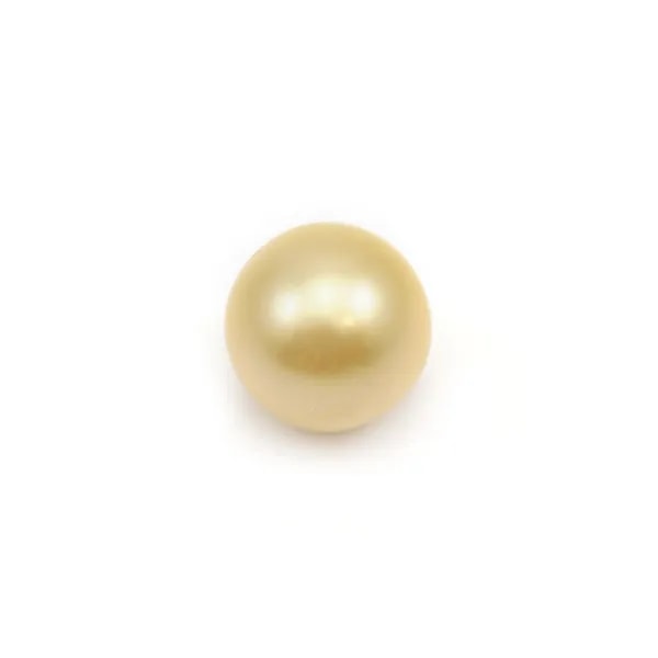 Perle des mers du Sud, champagne, ronde, 9.5-10mm x 1pc
