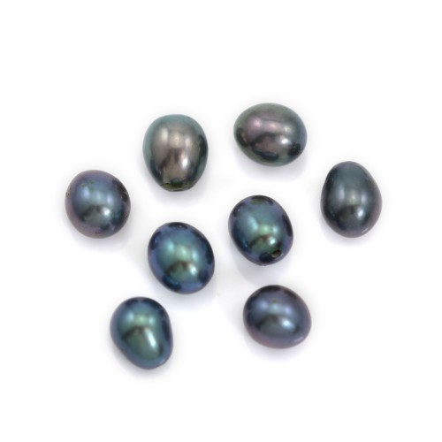 Perles de culture d'eau douce, semi-percée, bleue foncée, ovale, 6-7mm x 2pcs