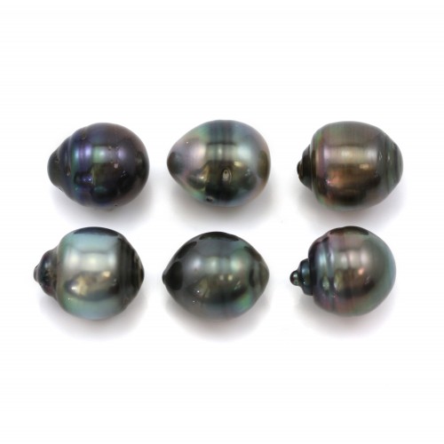 Tahitian pearl half round 12.5x13.5mm x 6pcs