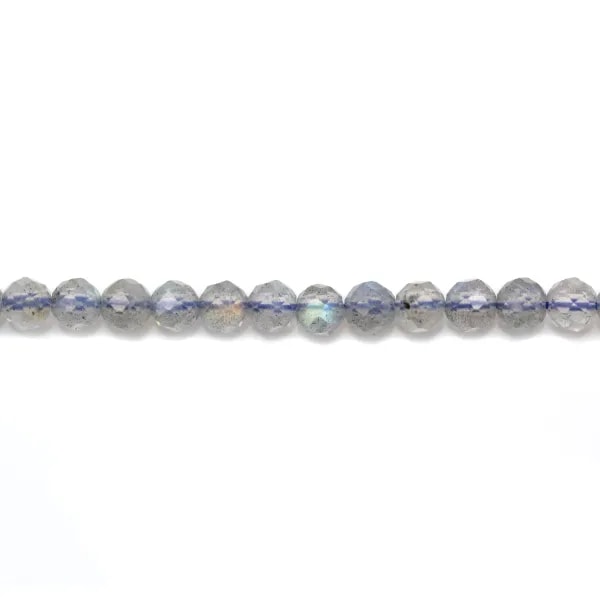 Labradorite Ronde Facette 3mm x 20pcs